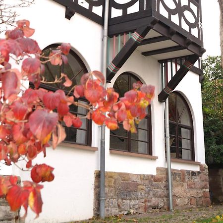 萨尔布吕肯Historisches Haus Am Triller别墅 外观 照片