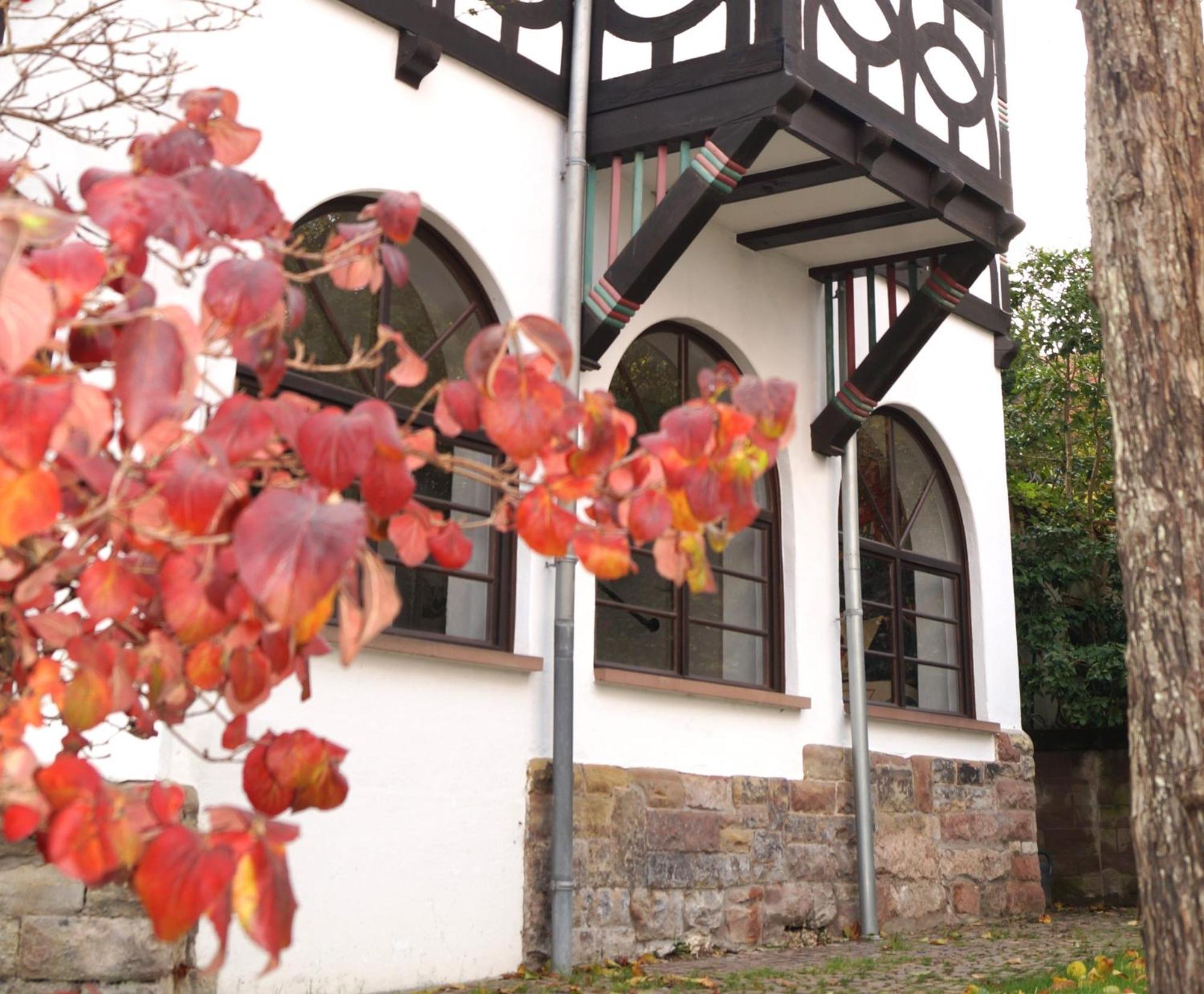萨尔布吕肯Historisches Haus Am Triller别墅 外观 照片